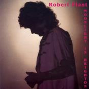 robert_plant_brighton_83_f.jpg